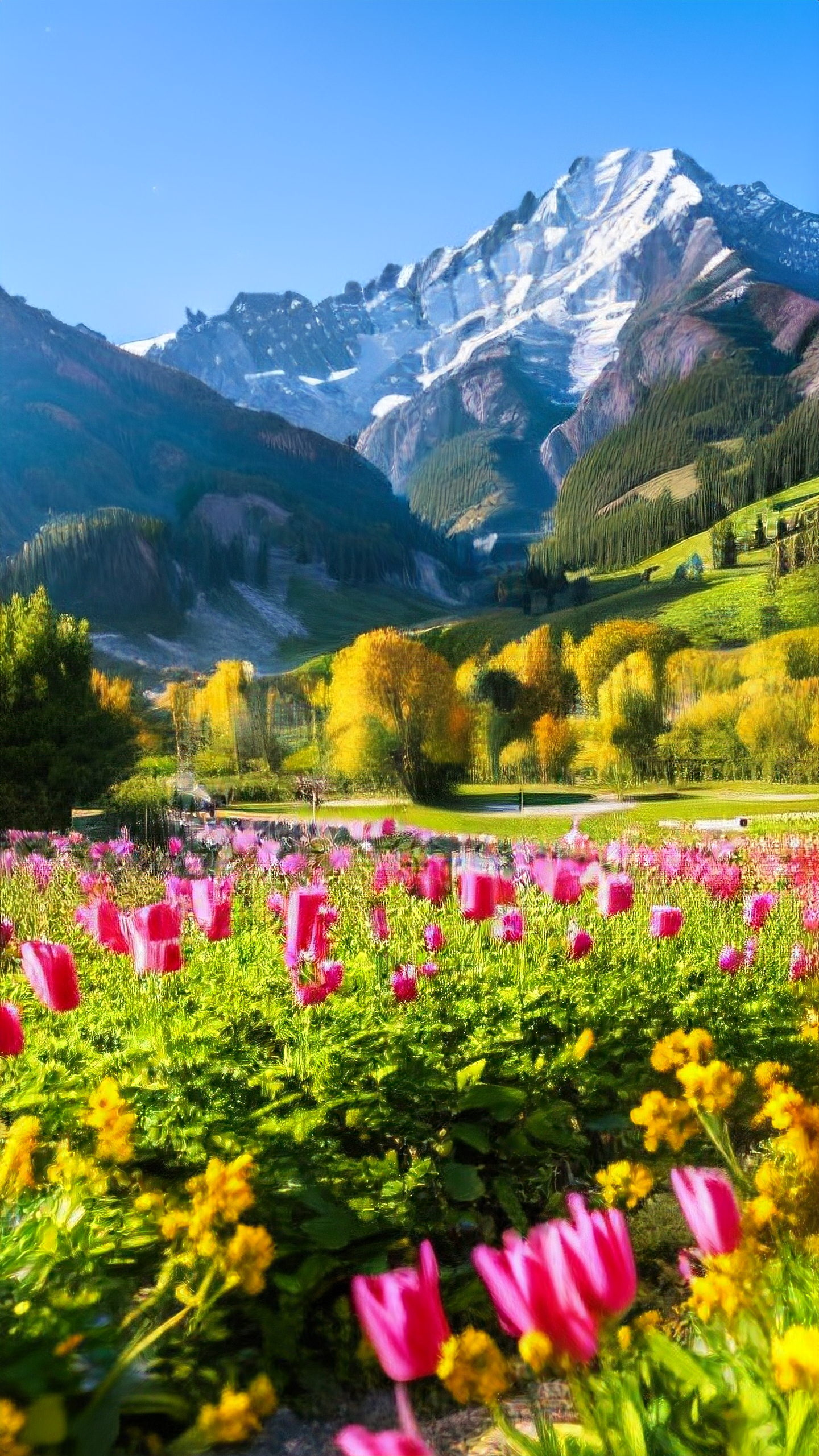 🔥 传奇开区必看！选对服务器，人气爆棚不是梦！🔥